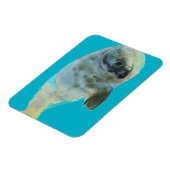 Aqua Green Magnet (Linke Seite)