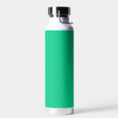 Aqua Green Sparkle Stainless Steel Flasche (Links)