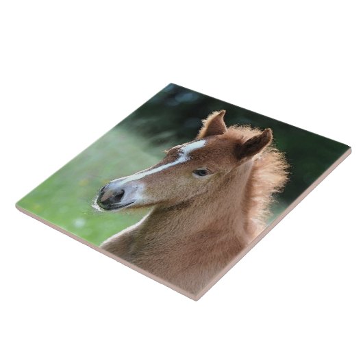 Aqua_Horse_20180101 Fliese (Seite)