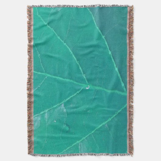 Aqua Leaf Decke (Vorderseite Vertikal)