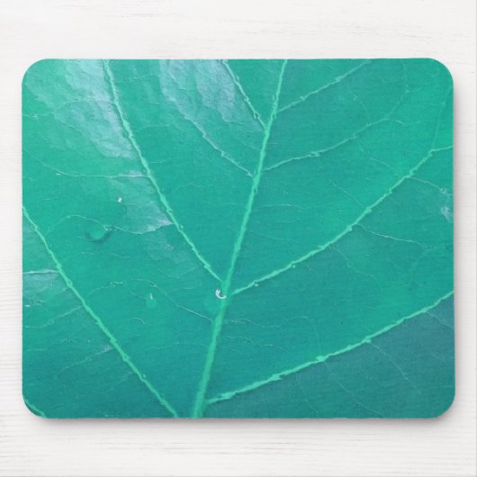 Aqua Leaf Mousepad (Vorne)
