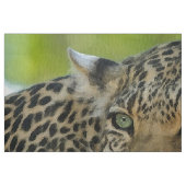 Aqua_Leopard_20180101_by_JAMColors Stoff (Fat Quarter (45,7 x 55,9 cm))