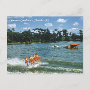 Aqua Maids der Wasserski-Show Cypress Gardens aus Postkarte