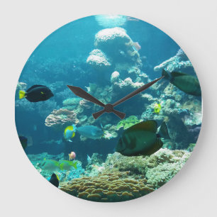 aqua meer fisch sea große wanduhr