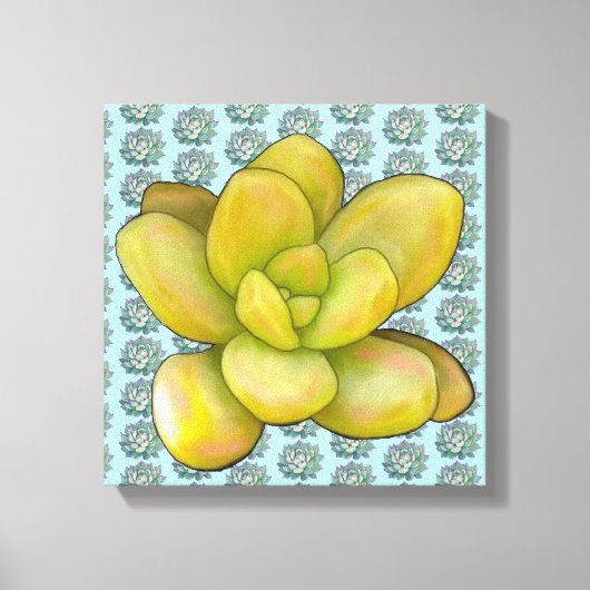 Aqua mit Lemon Peach Succulent Leinwanddruck (Vorderseite)