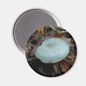Aqua Mushroom Magnet (Vorderseite/Rückseite)