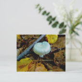 Aqua Mushroom Postcard Postkarte (Stehend Vorderseite)