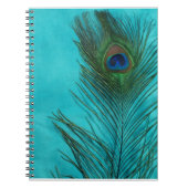 Aqua Peacock Feather Notizblock (Vorderseite)