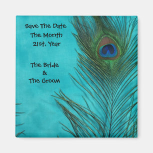 Aqua Peacock Feathers Wedding Magnete Magnet