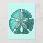 Aqua Sand Dollar Postkarte (Vorderseite)