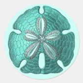 Aqua Sand Dollar Runder Aufkleber (Vorderseite)