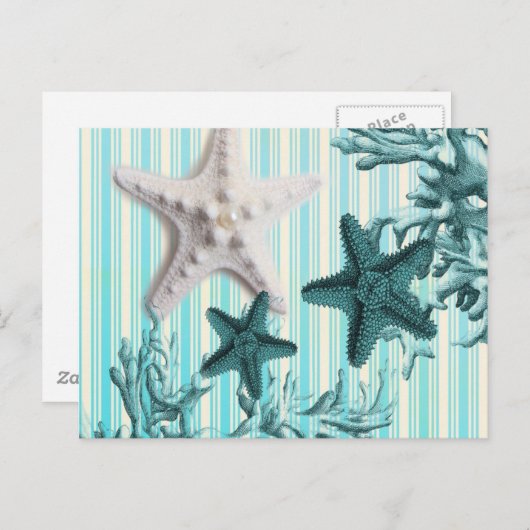 Aqua-Seesterne-Seashells Postkarte (Vorne/Hinten)