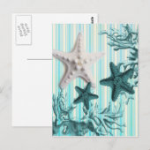 Aqua-Seesterne-Seashells Postkarte (Vorne/Hinten)