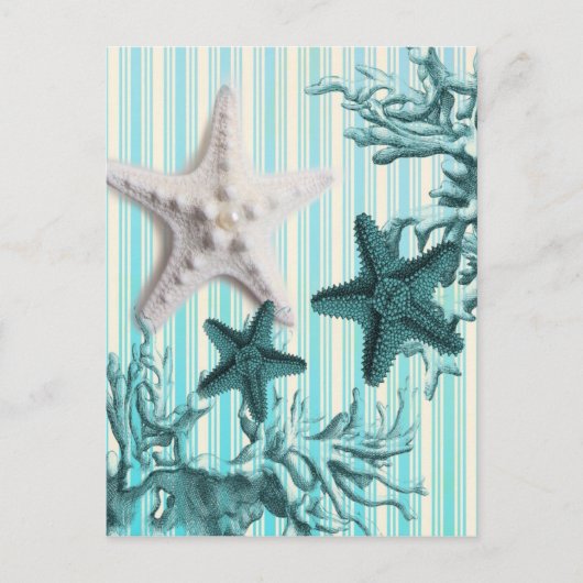 Aqua-Seesterne-Seashells Postkarte (Vorderseite)