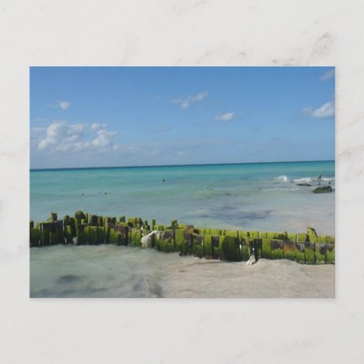 Aqua Serenity Postkarte (Vorderseite)