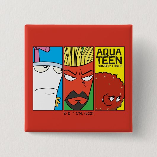 Aqua Teen Hunger Force Character Panel Graphic Button (Vorderseite)