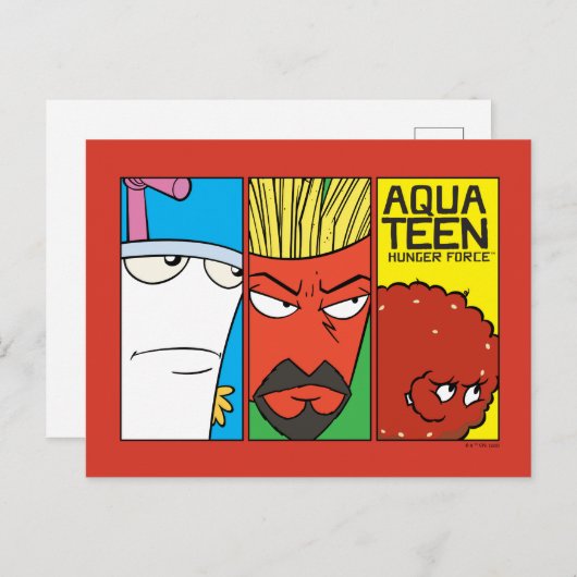 Aqua Teen Hunger Force Character Panel Graphic Postkarte (Vorne/Hinten)