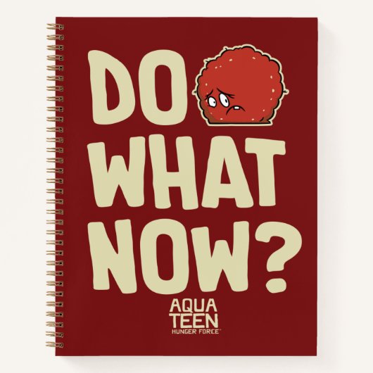 Aqua Teen Hunger Force Meatwad "Do What Now?" Notizblock (Vorderseite)