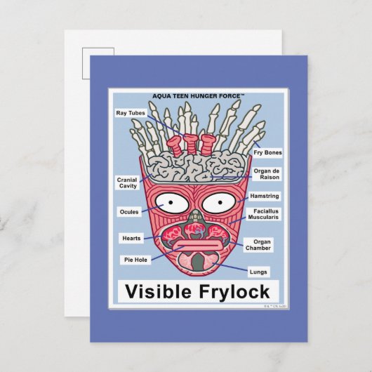 Aqua Teen Hungerfestungen Frylock Poster Postkarte (Vorne/Hinten)
