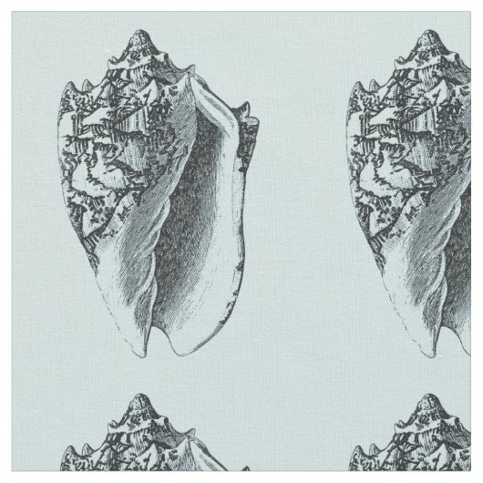 Aqua-Tritonshorn-Muschel Stoff (Nahaufnahme)