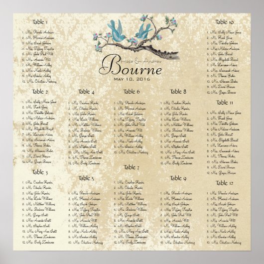 Aqua- und Rosa-Vögel auf Zweigstellplaketten Poster (Vorne)