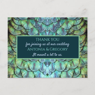 Aqua Vibrant Peacock Wedding Danke Postcard Postkarte