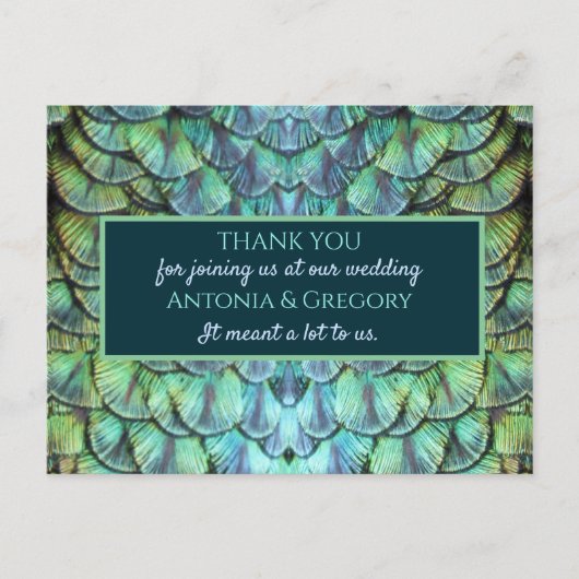 Aqua Vibrant Peacock Wedding Danke Postcard Postkarte (Vorderseite)