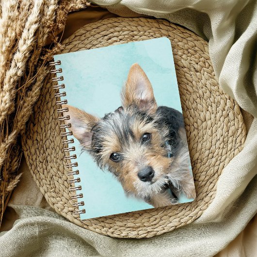 Aqua Watercolor Pet Foto Notizblock