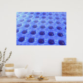 Aquafun Poster (Küche)