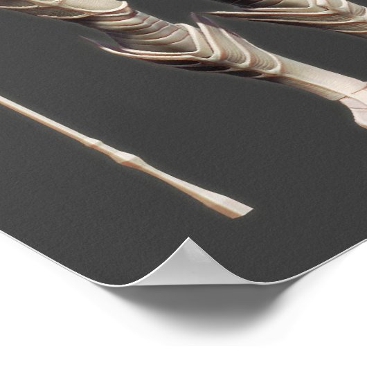 Aquaman Alternate Poster (Ecke)