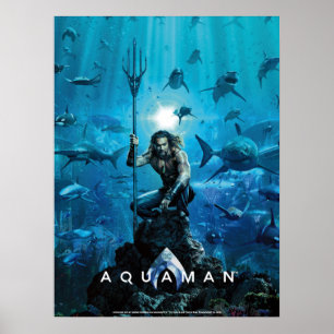 Aquaman   Prince Orin mit Wassertieren Poster