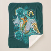 Aquaman Riding Seepferd über Kingdoms Sherpadecke (Vorderseite)