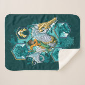 Aquaman Riding Seepferd über Kingdoms Sherpadecke (Vorderseite (Horizontal))