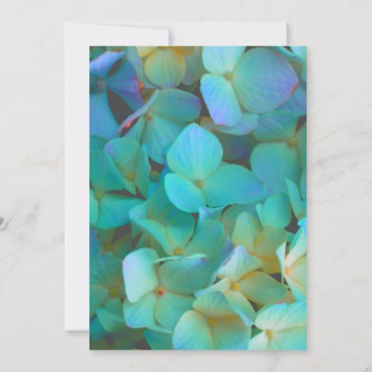 Aquamarin-blaugelbe Hydrangeas-Blume Einladung (Rückseite)