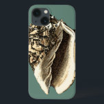 Aquamarin Conch-Muschel Case-Mate iPhone Hülle<br><div class="desc">In this beautiful,  classic black and white conch shell,  you can see the shading of a natural seashell very sharp and clear. You can image yourself at the beach hunting for shells or playing in the sand. Get this nautical styled teal conch shell art on your favorite products today!</div>