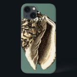 Aquamarin Conch-Muschel Case-Mate iPhone Hülle<br><div class="desc">In this beautiful, classic black and white conch shell, you can see the shading of a natural seashell very sharp and clear. You can image yourself at the beach hunting for shells or playing in the sand. Get this nautical styled teal conch shell art on your favorite products today!</div>