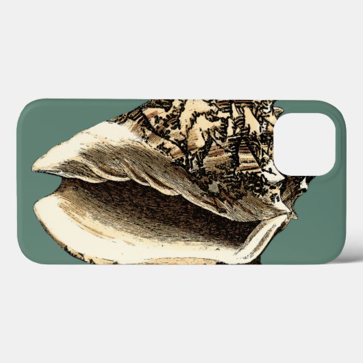 Aquamarin Conch-Muschel Case-Mate iPhone Hülle (Rückseite (Horizontal))