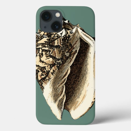 Aquamarin Conch-Muschel Case-Mate iPhone Hülle (Rückseite)
