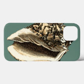 Aquamarin Conch-Muschel Case-Mate iPhone Hülle (Rückseite (Horizontal))