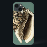 Aquamarin Conch-Muschel Case-Mate iPhone Hülle<br><div class="desc">In dieser schönen, klassischen Muschel mit schwarz-weißer Konkade kann man die Schattierung einer natürlichen Muschel sehr scharf und klar sehen. Sie können sich am Strand vorstellen, auf der Suche nach Muscheln oder beim Spielen im Sand. Holen Sie sich diese nautische aquamarine Conch Muschel Kunst auf Ihre Lieblingsprodukte heute!</div>