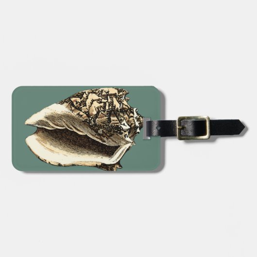 Aquamarin Conch-Muschel Gepäckanhänger (Vorderseite horizontal)