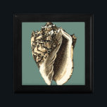 Aquamarin Conch-Muschel Geschenkbox<br><div class="desc">In dieser schönen,  klassischen Muschel mit schwarz-weißer Konkade kann man die Schattierung einer natürlichen Muschel sehr scharf und klar sehen.  Sie können sich am Strand vorstellen,  auf der Suche nach Muscheln oder beim Spielen im Sand. Holen Sie sich diese nautische aquamarine Conch Muschel Kunst auf Ihre Lieblingsprodukte heute!</div>