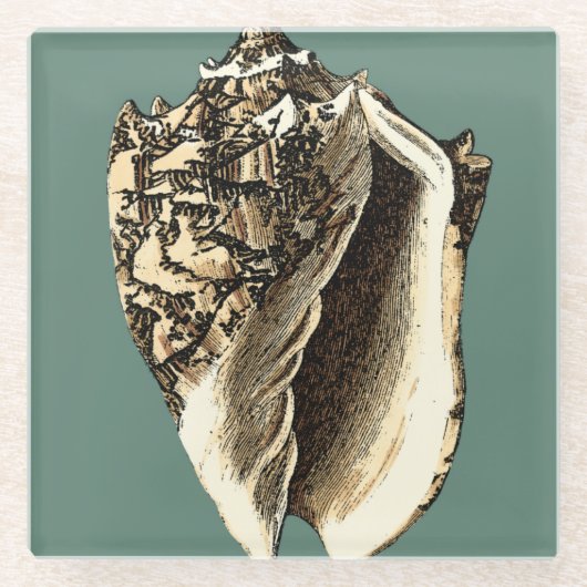 Aquamarin Conch-Muschel Glasuntersetzer (Vorderseite)