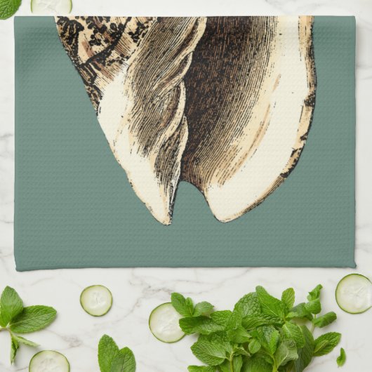 Aquamarin Conch-Muschel Handtuch (Gefaltet)