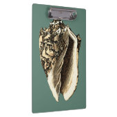 Aquamarin Conch-Muschel Klemmbrett (Rechts)