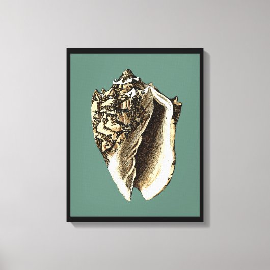 Aquamarin Conch-Muschel Leinwanddruck (Vorderseite)