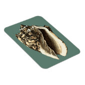 Aquamarin Conch-Muschel Magnet (Rechte Seite)