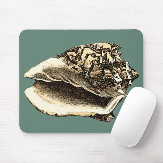 Aquamarin Conch-Muschel Mousepad (Mit Mouse)