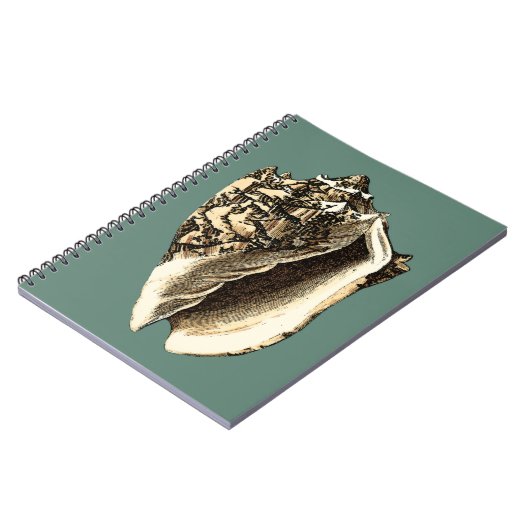 Aquamarin Conch-Muschel Notizblock (Linke Seite)