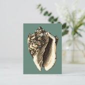 Aquamarin Conch-Muschel Postkarte (Stehend Vorderseite)